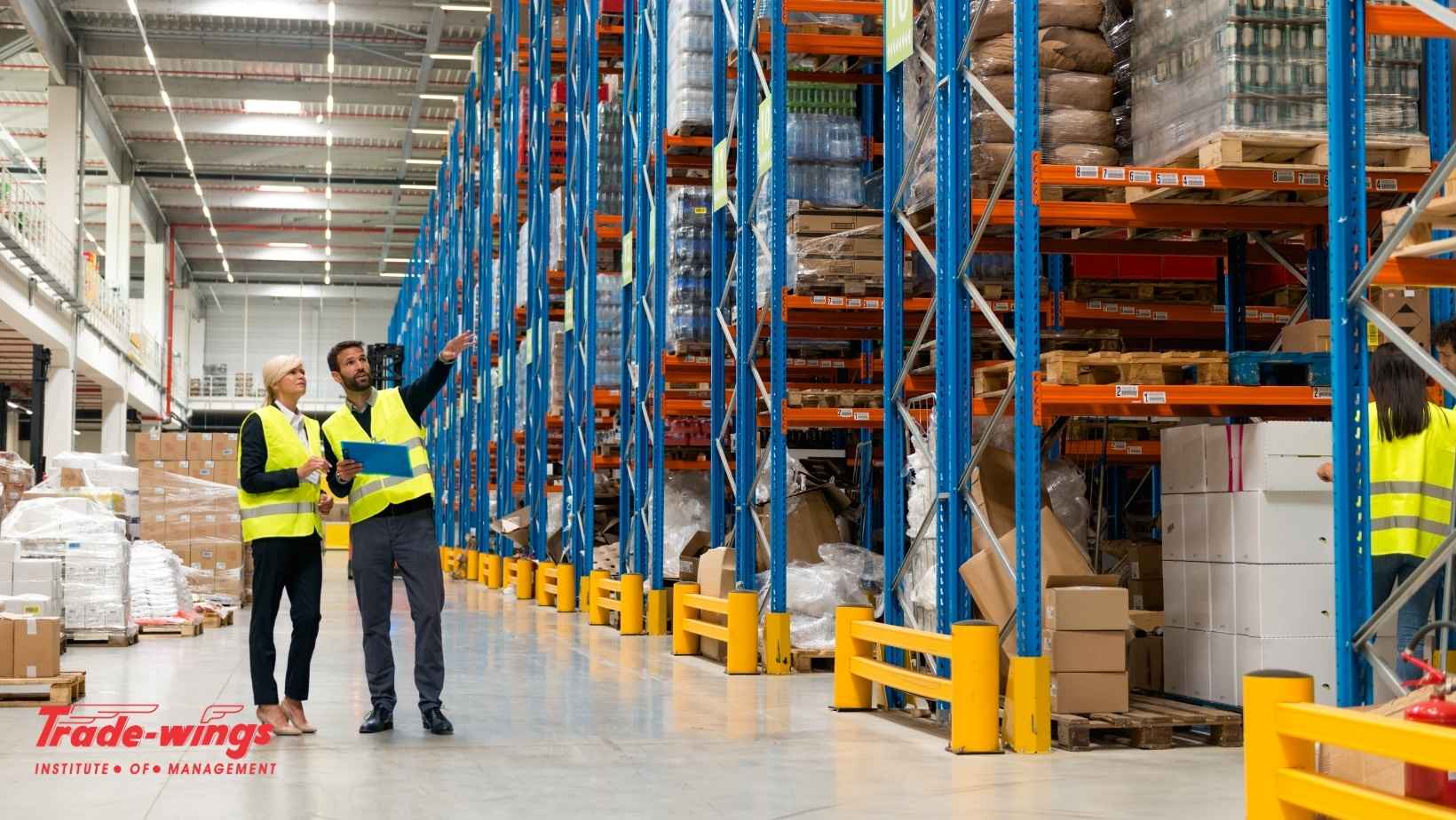 Warehouse management professional using digital inventory systems in a modern logistics warehouse