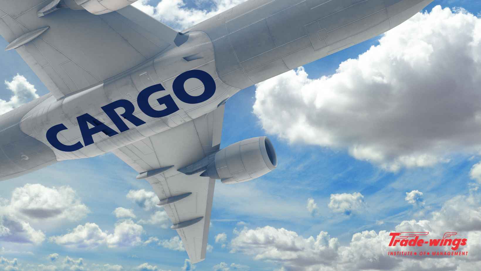 Career opportunities after a logistics and cargo management course showing supply chain, warehousing, air cargo, and freight jobs.