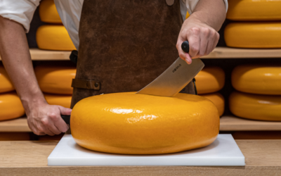 Chef slicing artisan cheese on wooden board during a Basic Course in Cheese Tourism culinary session