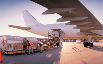 Ground staff loading passenger luggage into aircraft cargo hold during airport operations training