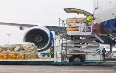 Ground staff loading passenger luggage into aircraft cargo hold during airport operations training