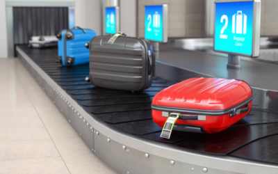 Understanding Baggage Handling